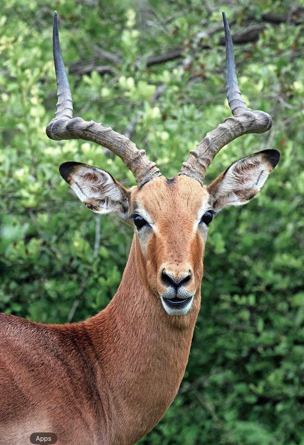 Seasonal & specialty